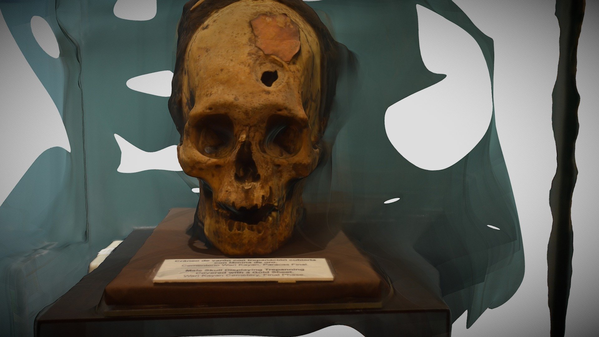 Trepanado Paracas — Sketchfab embed 3D viewer