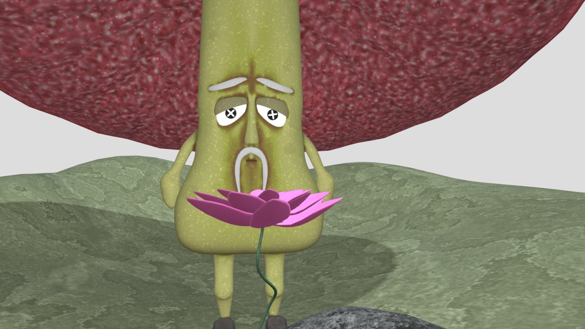 MR. MUSHROOM