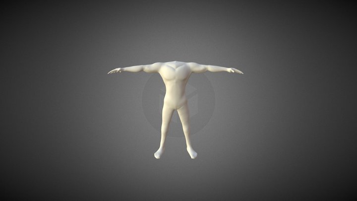Male No Head 3D Model