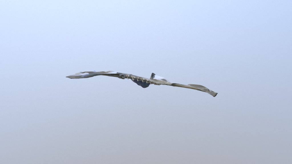 Beamon_Mandible_Right/Buccal