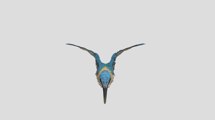 Updated Bird Alex 3D Model