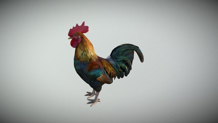 GA Free_048_Majestic Rooster 3D Model