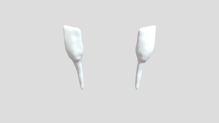 Melva Mitchell Fort Worth Chiropractic Render 3D Model