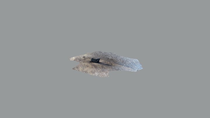 Beach Rock 3D Model