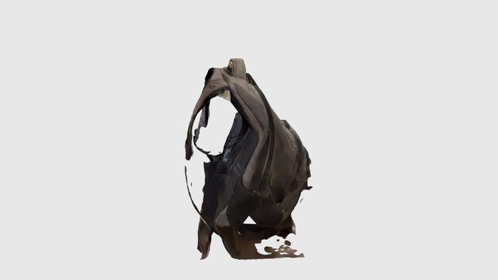 Scaniverse Model 3D Model