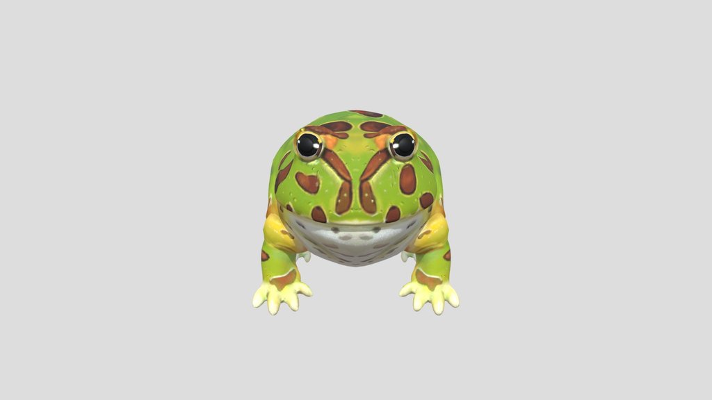 frog 3d model