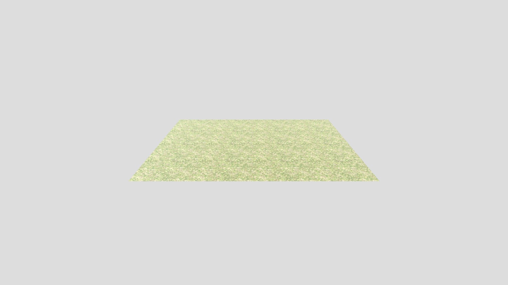 Grassy Plain