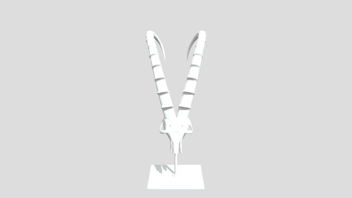 Animal Skull Statuete 3D Model