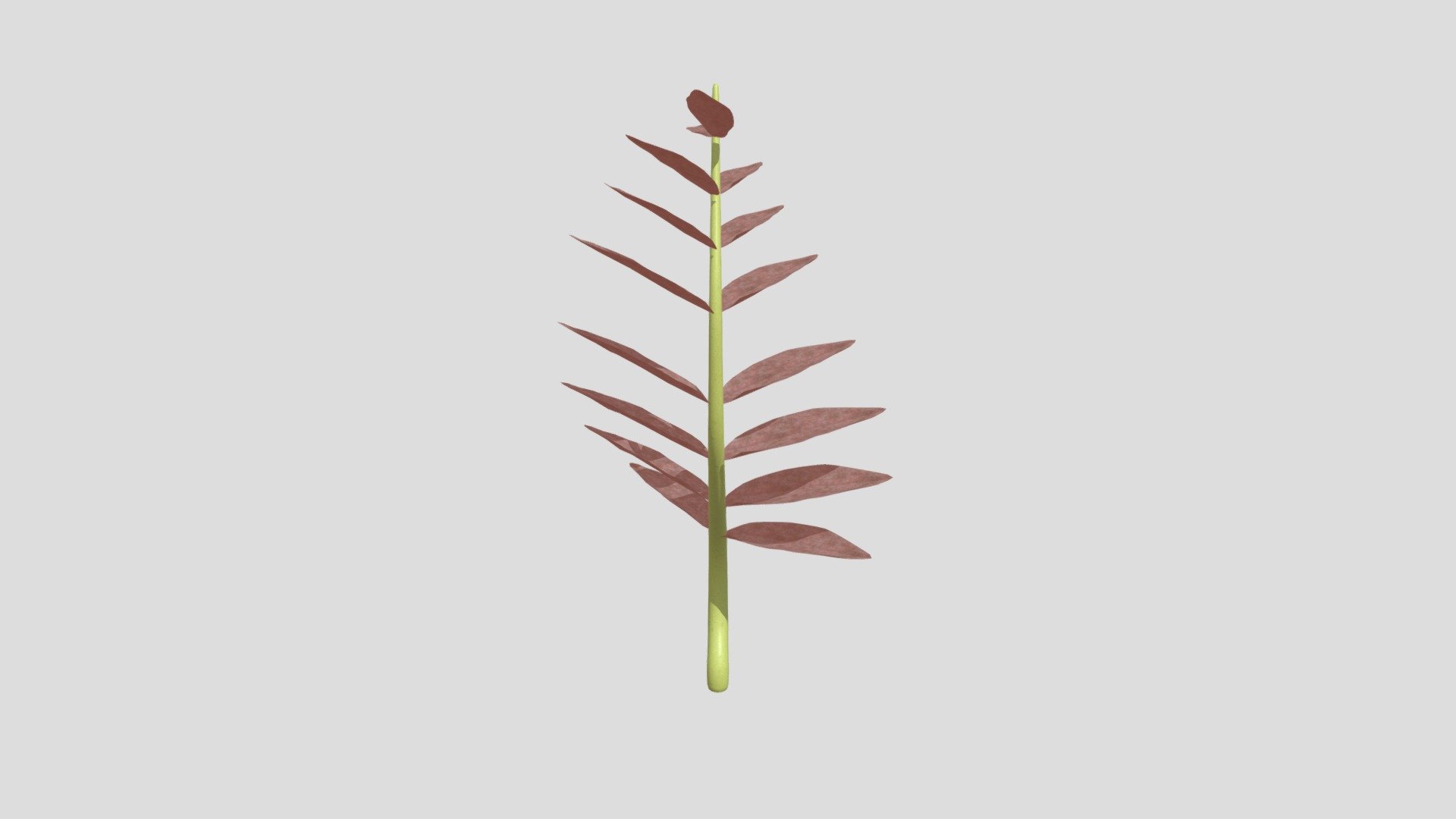 Plant Red
