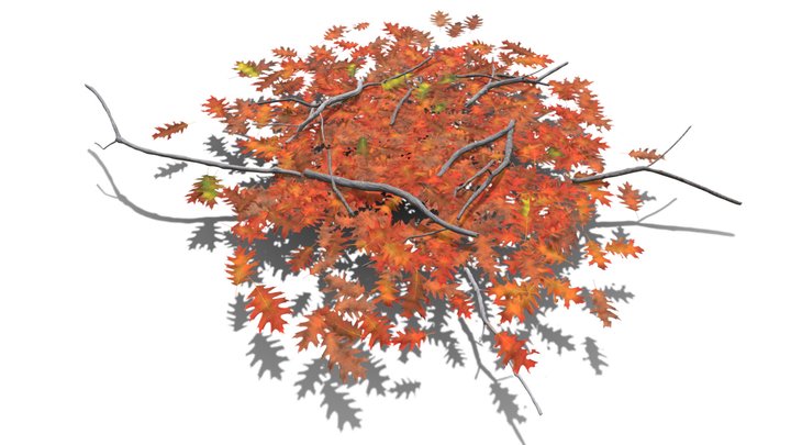 Realistic HD Red oak leaf litter (10/36) 3D Model