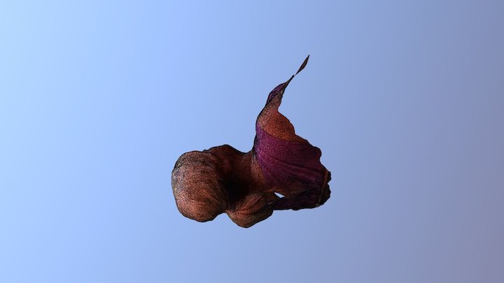 A TRNIO Model 3D Model