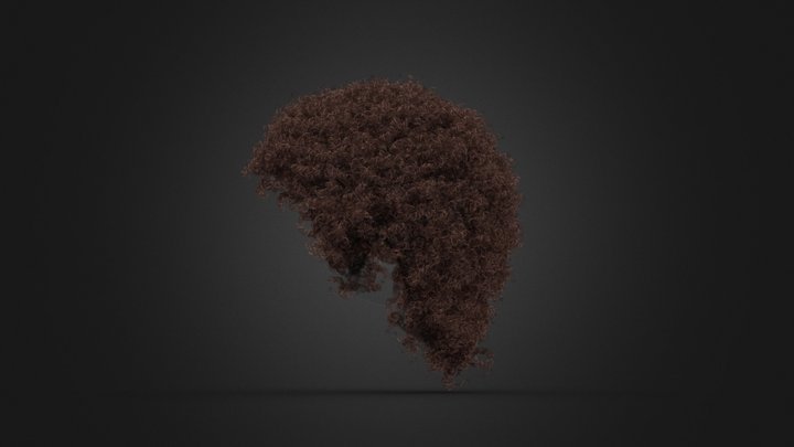 Thick Curly Hairs v7.1 3D Model
