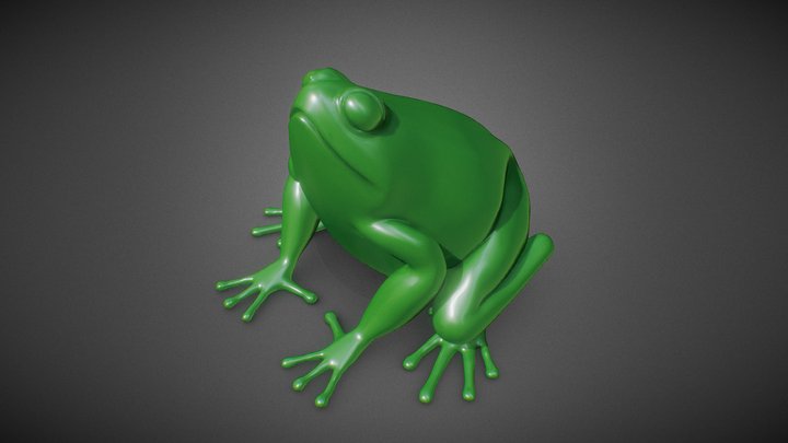 Frog Sculpt 3D Model