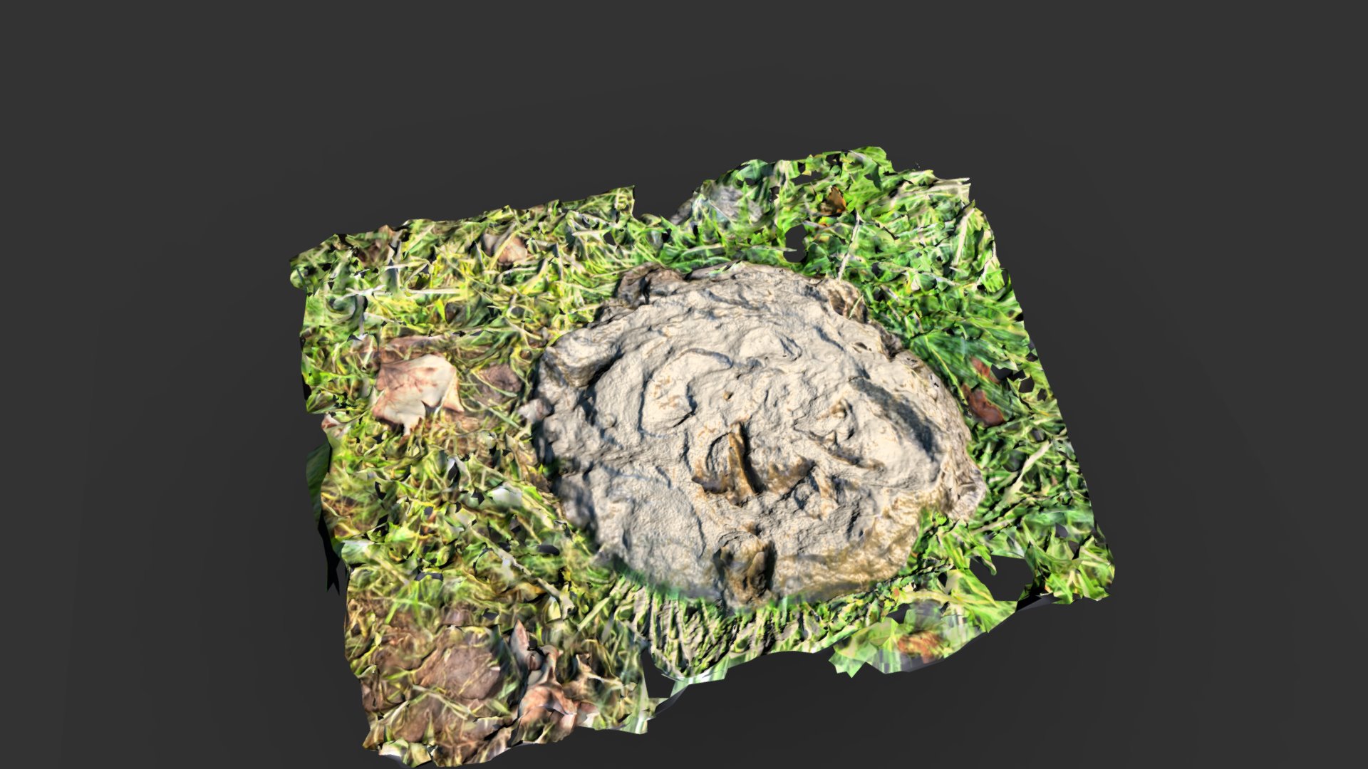 3D model Pheasant Track in Cow Pat - This is a 3D model of the Pheasant Track in Cow Pat. The 3D model is about map.