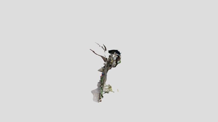 New Model 3D Model