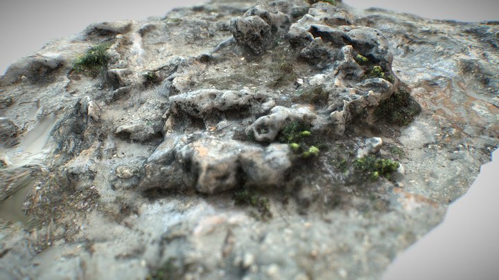 Scoglio Sea Rock photogrammetry 3d scan Low Poly 3D Model