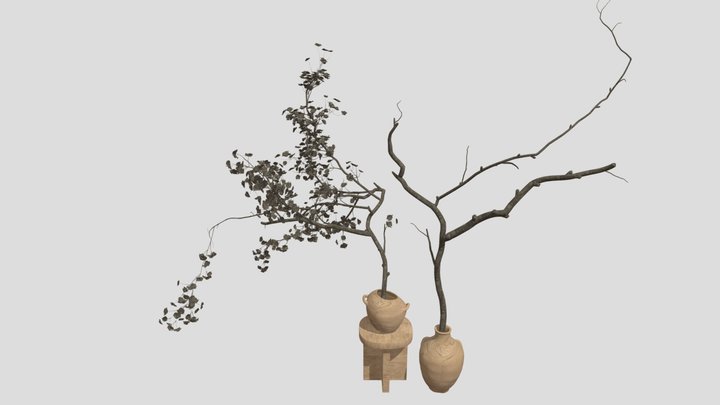 Indoor Plant 3D Model