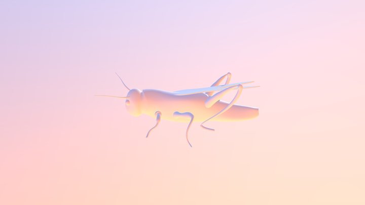 grasshoper 3D Model