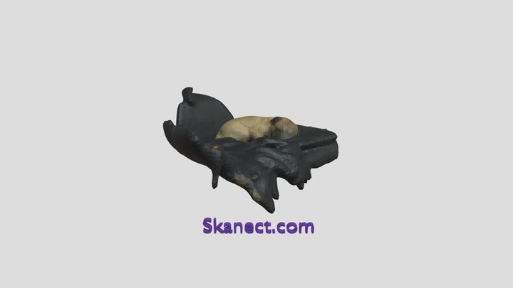 Frug pug french bulldog cross sleeping 3D Model