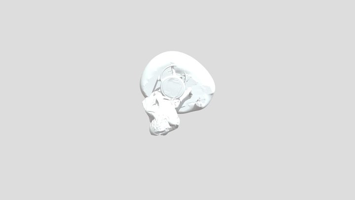 Dr. Scan_E Wedgeworth 3D Model