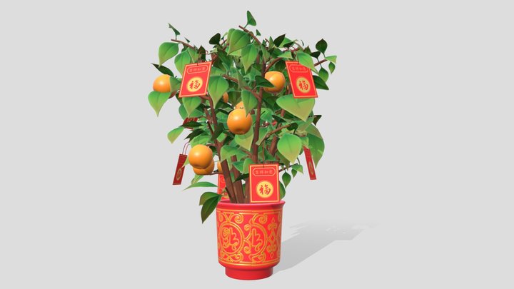 Kumquat Tree 3D Model