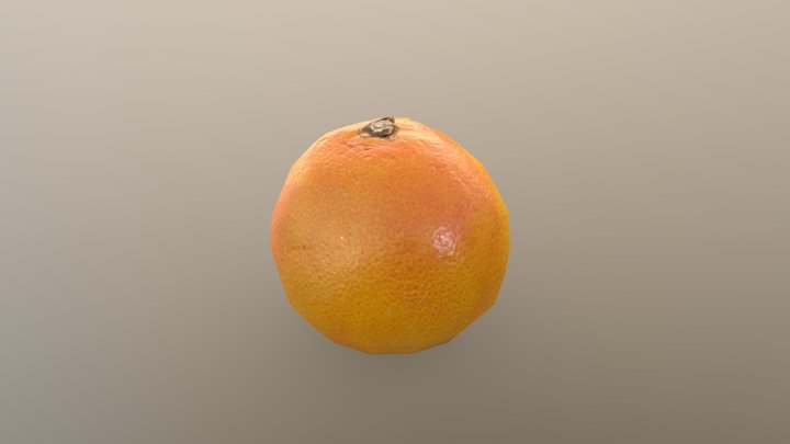 Orange 3D Model