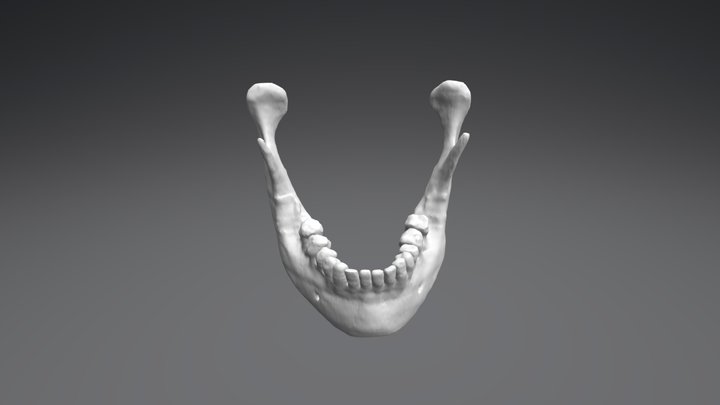 Mandíbula 3D Model