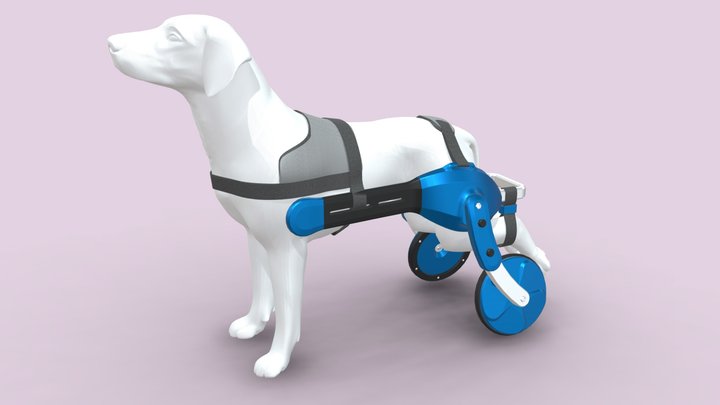 A wheelchair for dogs 3D Model
