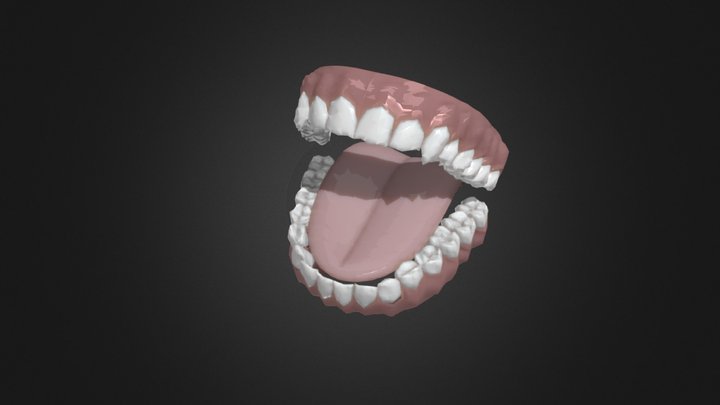 3D Dental Tool - Teeth (Open) Prototype 3D Model