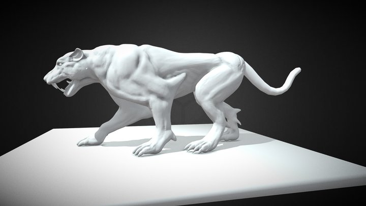 Lion anatomy