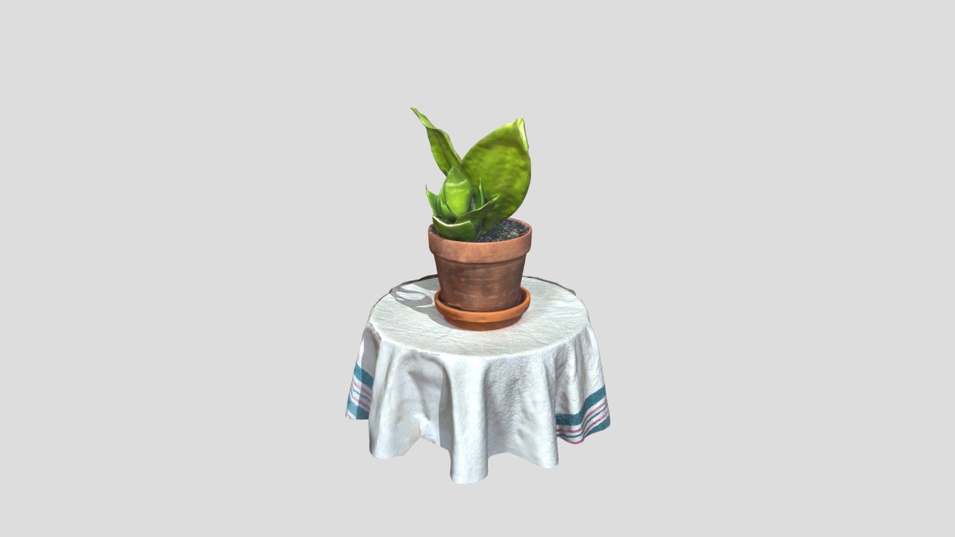 Snake Plant - Draft 1 - Download Free 3D model by vr_me_candice ...