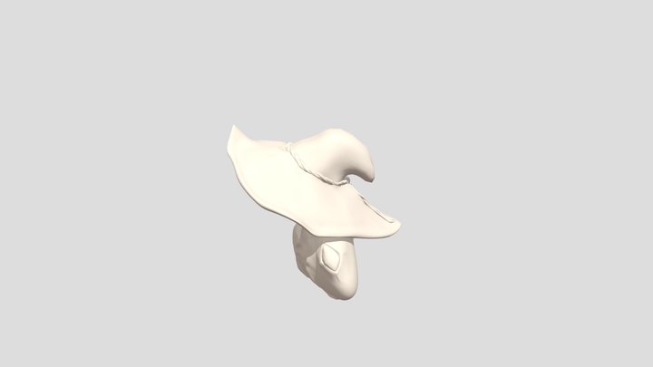 Wizard Knight: Sculpt Sketch 3D Model