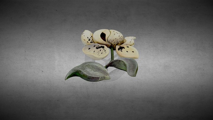 花(A-2009-01-022) 3D Model