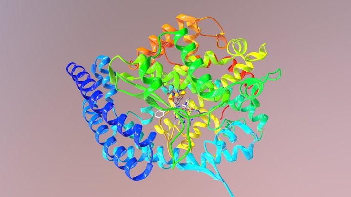 ACE Inhibitor - Enalaprilat 3D Model