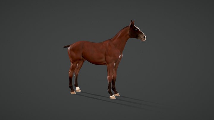Horse 3D Model