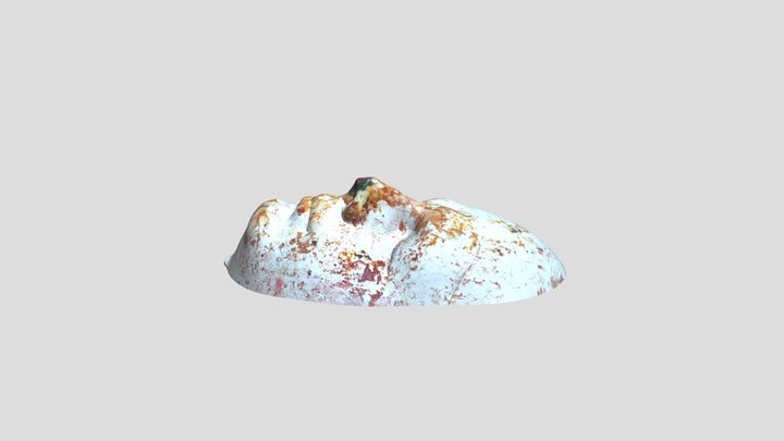 Ritratto_pigmentato_2 3D Model