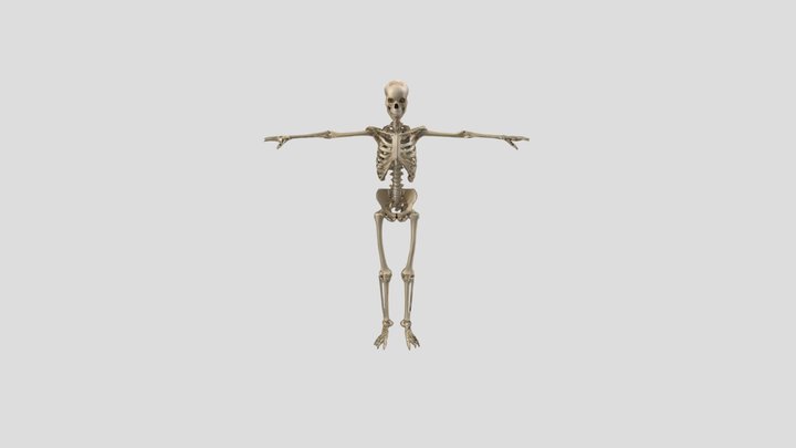 Biped 3D Model