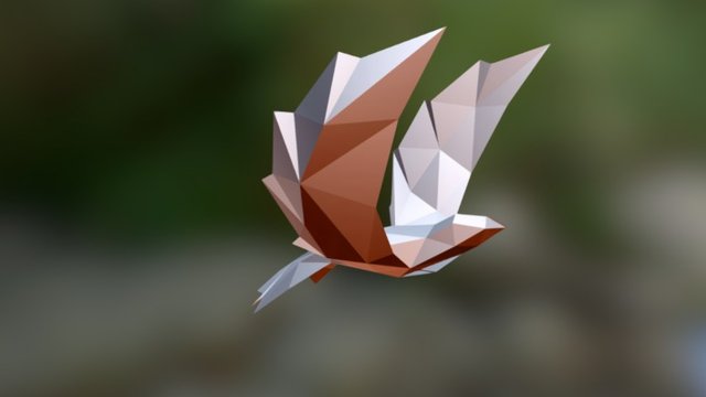 bird low poly 3D Model