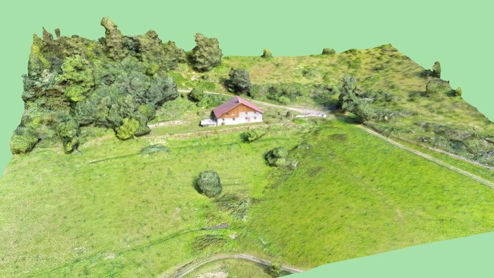 Vosges 3D Model
