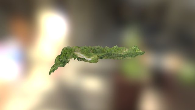 MYT 3D Model