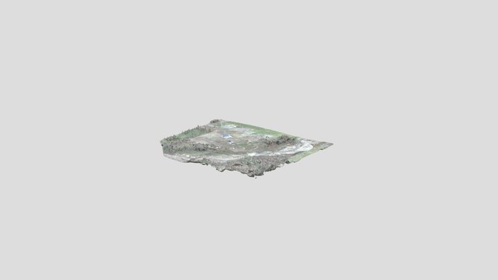 wakka3 3D Model