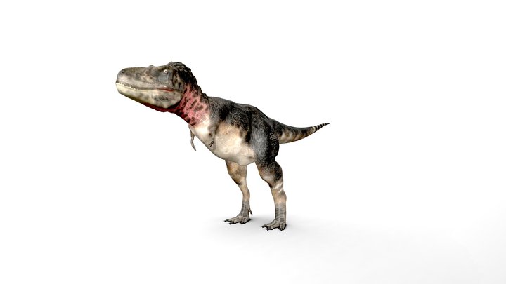 Dinoraul Tarbosaurus Bataar Accurate Rigged