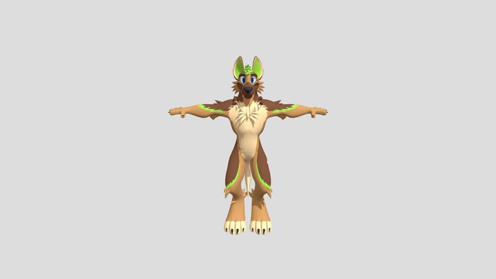 SAF! 3D Model