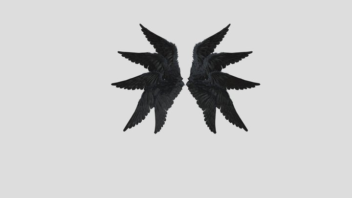 Feathered Wings 3D Model