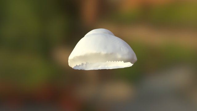 Eyecast Idea STL 3D Model