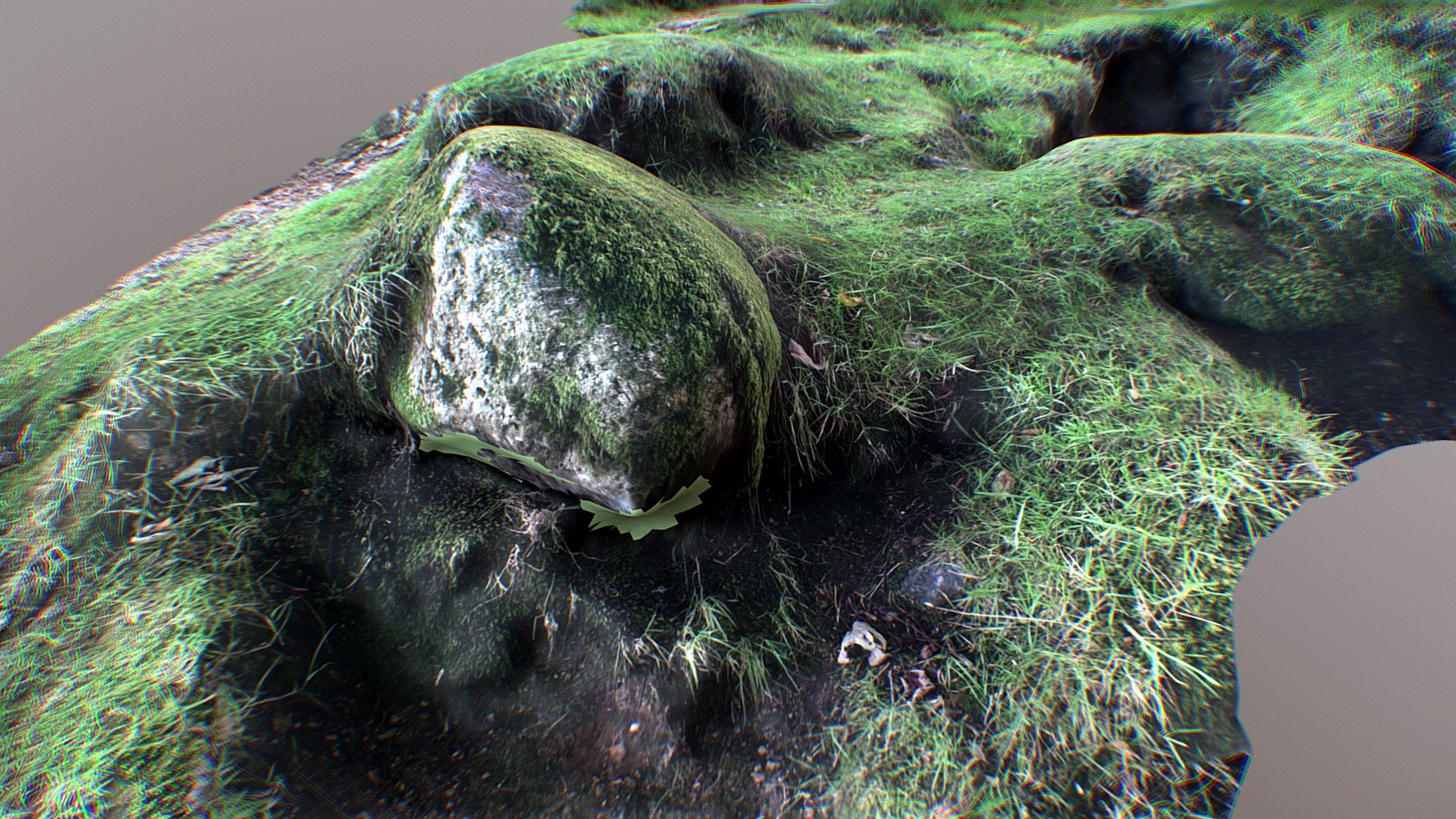 Grass