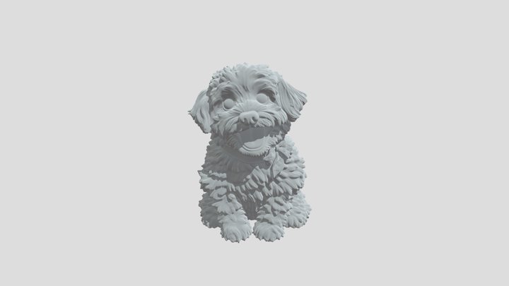 CoCo the AusiePoo 3D Model