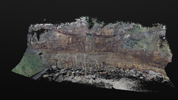 Point Cloud Whitby - subsampled 3D Model