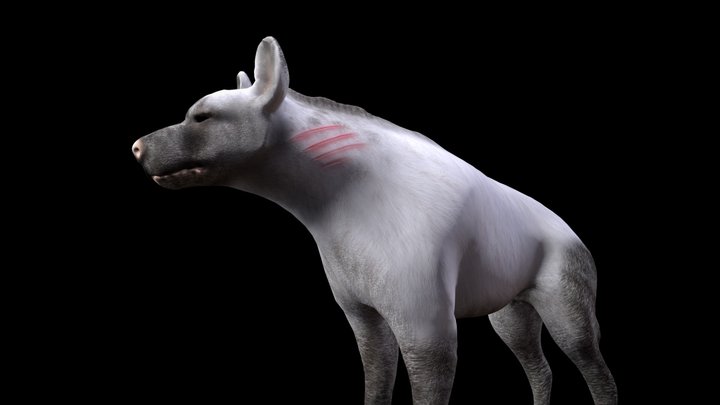Cave Hyena 3D Model