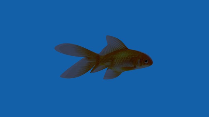 Flat Fish 3D Model